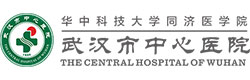 武漢市中心醫院